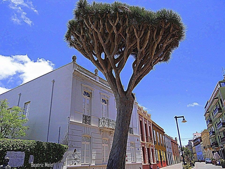 Apartamento Maya La Laguna  Exteriér fotografie